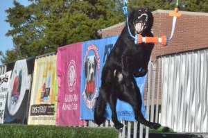 56C35BC4-7AEC-424C-81E9-AD85AA0CC1B1