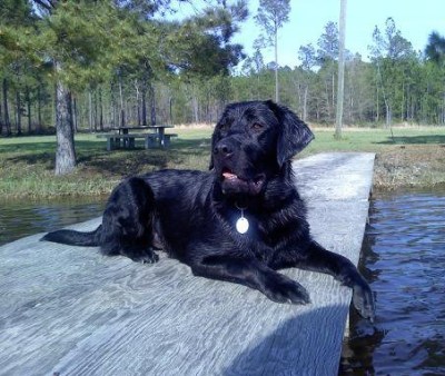 27257_1247074613184_3496835_n