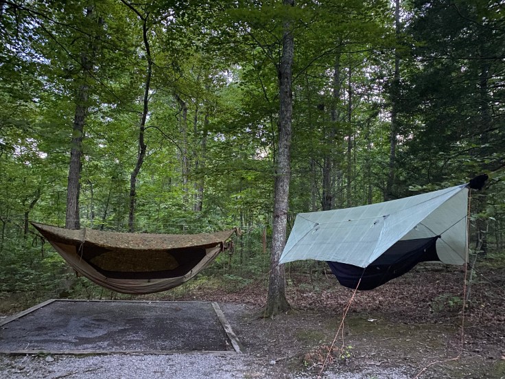Two hammocks hang side by side over a tent pad and clearing. the hammock on the left is brown with a brown camouflage tarp. The hammock on the right is purple with a white dyneema tarp. 