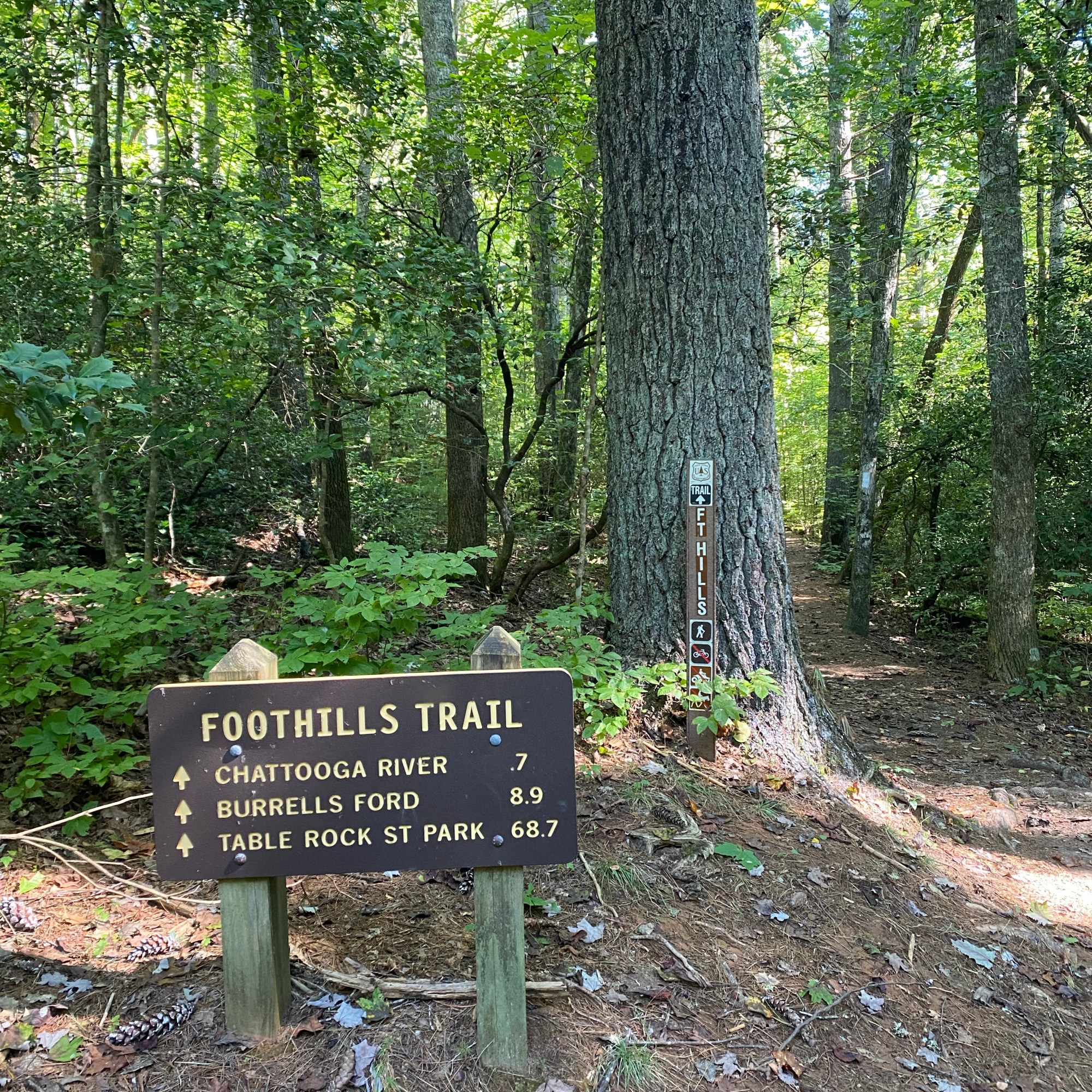 A brown sign reads in pale yellow letters: FOOTHILLS TRAIL and gives mileages to Chattooga River (0.7 miles), Burrells Ford (8.9 miles) and Table Rock State Park (68.7 miles). A lush wooded forest lies beyond the sign with a well-worn footpath.